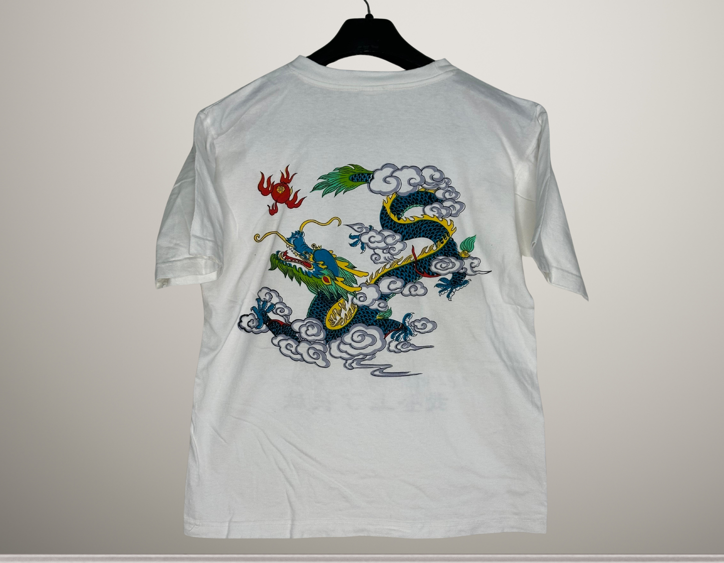 I Climbed the Great Wall of China Souvenir T-Shirt | Scenic Graphic Tee | Size Medium